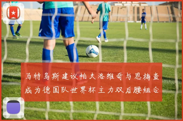 马特乌斯建议帕夫洛维奇与恩梅查成为德国队世界杯主力双后腰组合