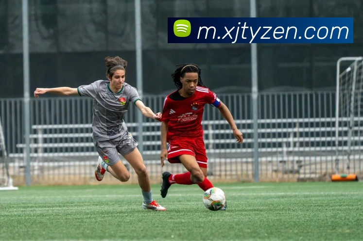 App Interface Preview