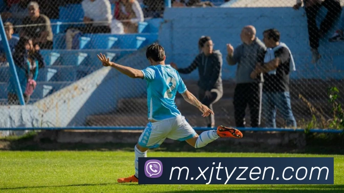 星际体育APP 封面图