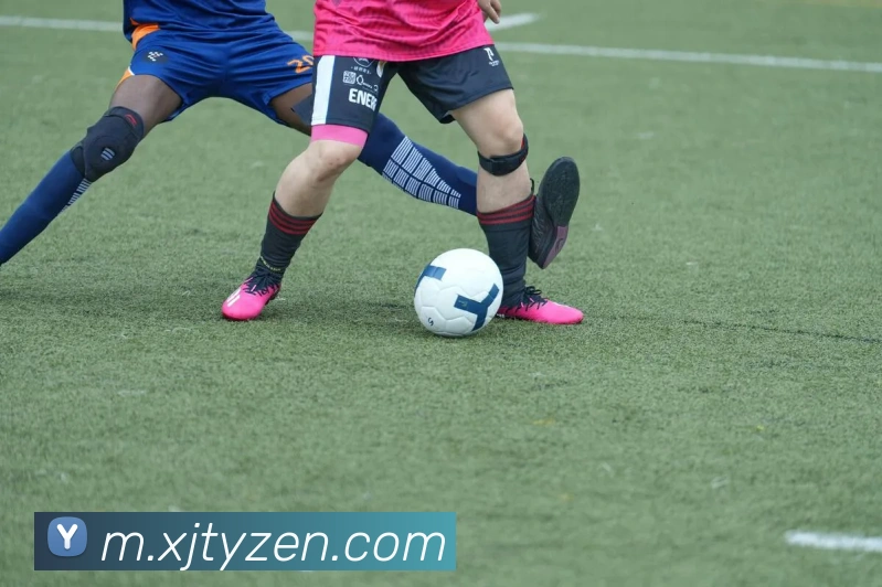 数据防护可视化